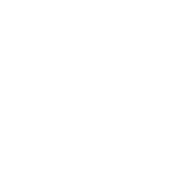 Sailing Boat