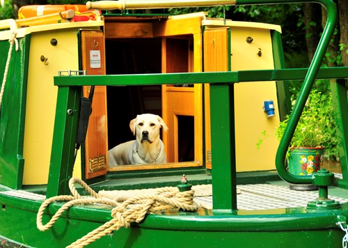 narrowboat interior design