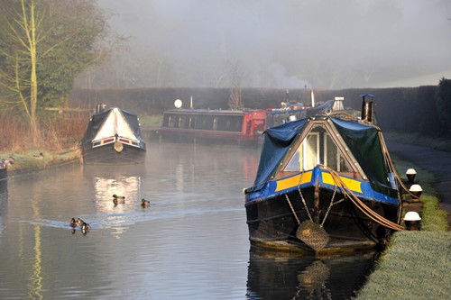 image of a narrowboat moored up against a bank