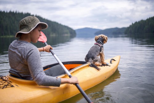 how to go kayaking with your dog