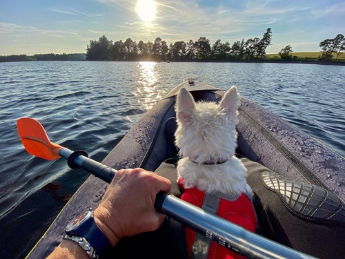 guide for kayaking with your dog