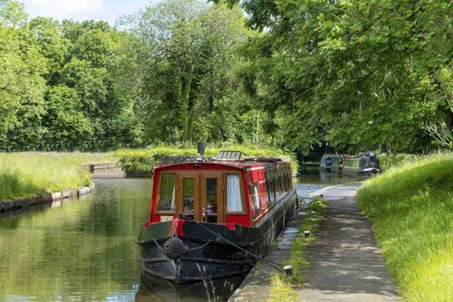 moor a boat