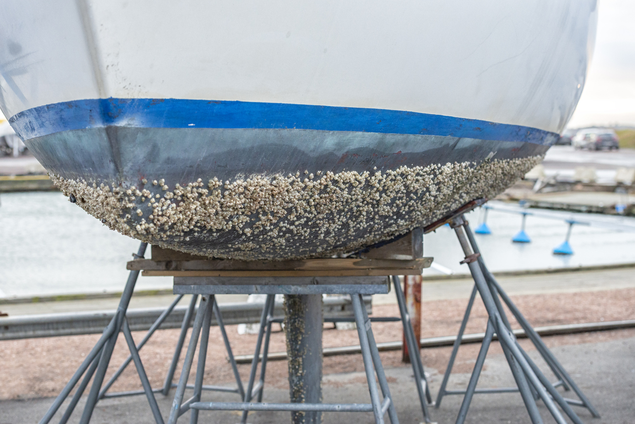 Barnacles on boats: How to remove them and why